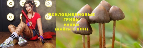 марихуана Бородино