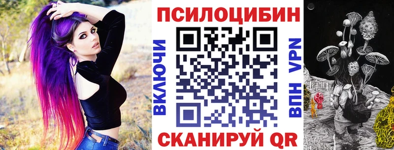MEGA как войти  Истра  Псилоцибиновые грибы Cubensis 